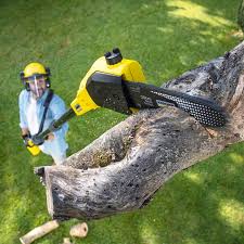 Best Commercial Tree Services  in Parsons, TN