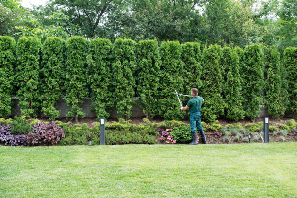 Leaf Removal in Parsons, TN